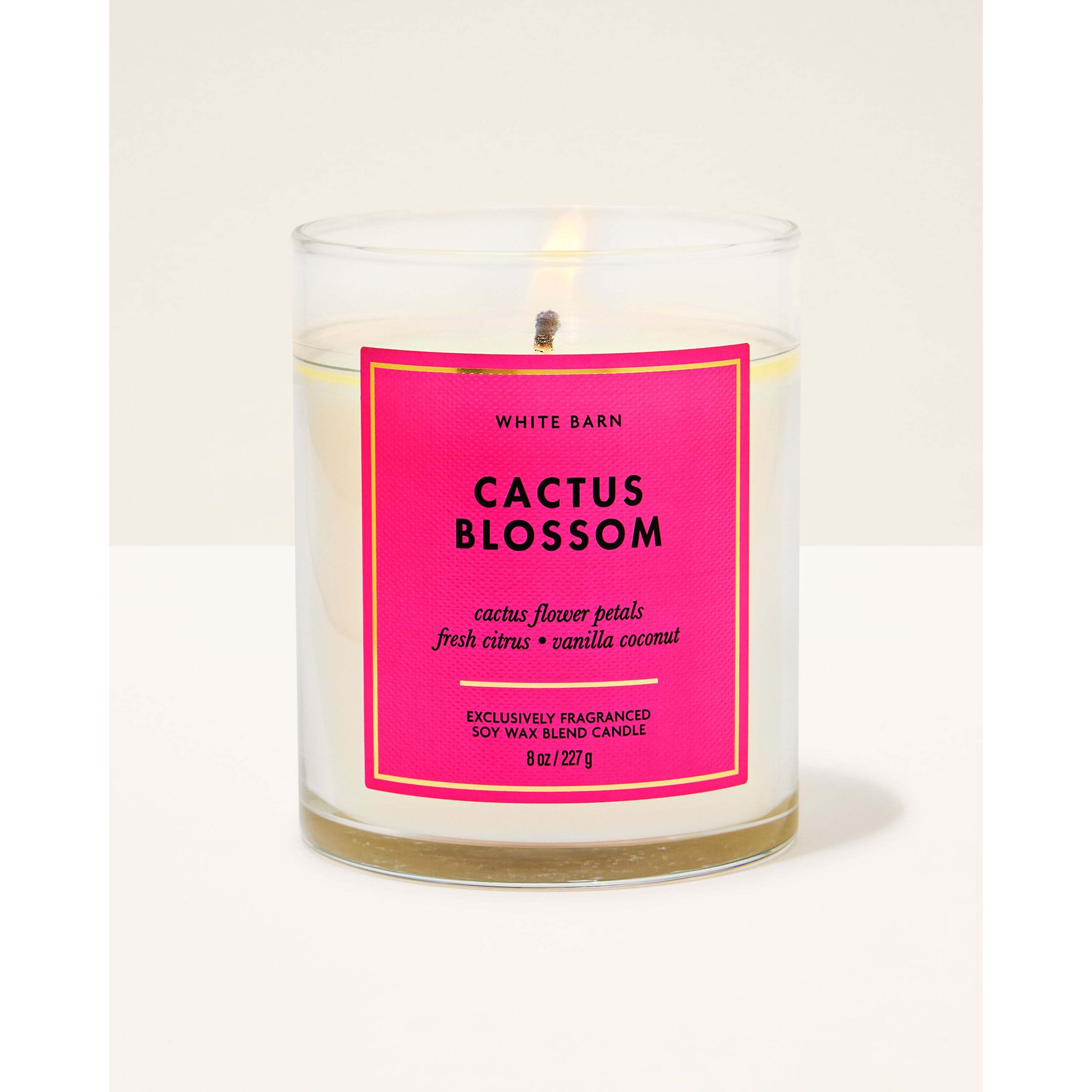 Cactus Blossom Single Wick Candle